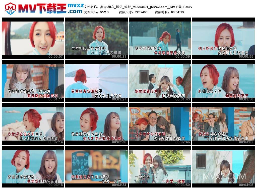 苏青-相忘_国语_流行_MD204691